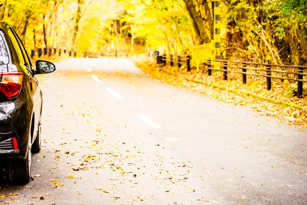 Autofahren im Herbst.